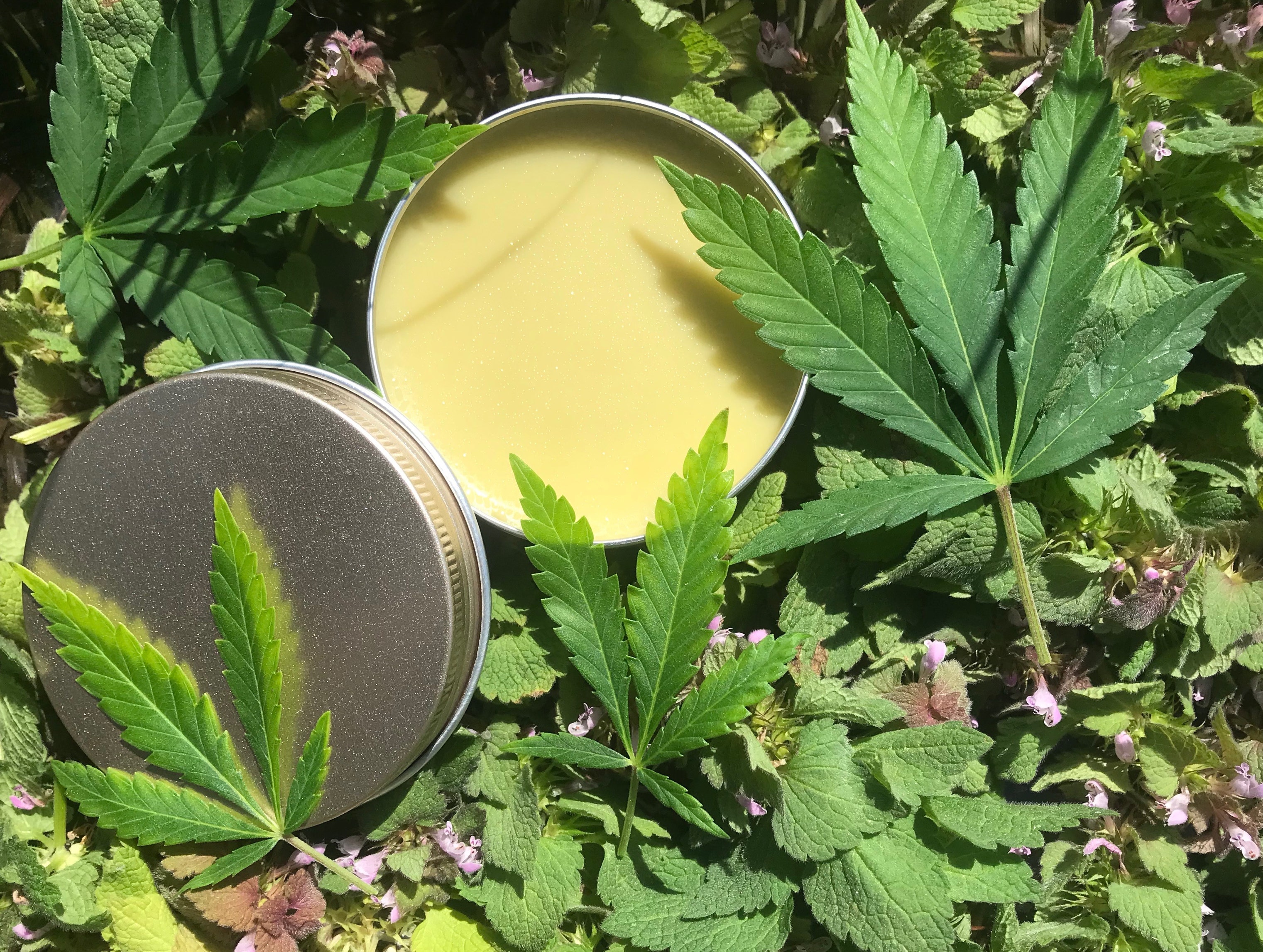 medical cannabis consulting in Virginia 